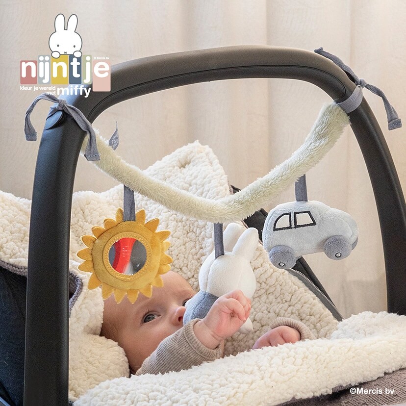 [}C]miffy ~btB[ nMOgC/tbtB[/u[/_bhEFCiDADWAYj u[