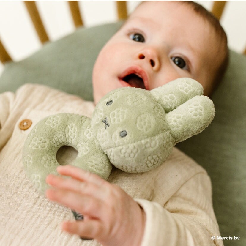 [�}���C]�ymiffy×Little Dutch �~�b�t�B�[���g���_�b�`�zFlower �x�r�[���g��/�_�b�h�E�F�C�iDADWAY�j �����O���[��