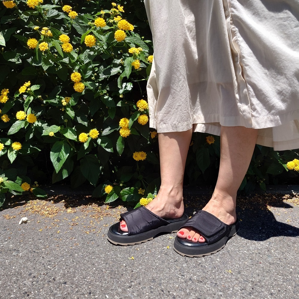 [}C]yEMUzG~ Gifford V[N\[T_/G~I[XgAiEMU Australiaj ubN