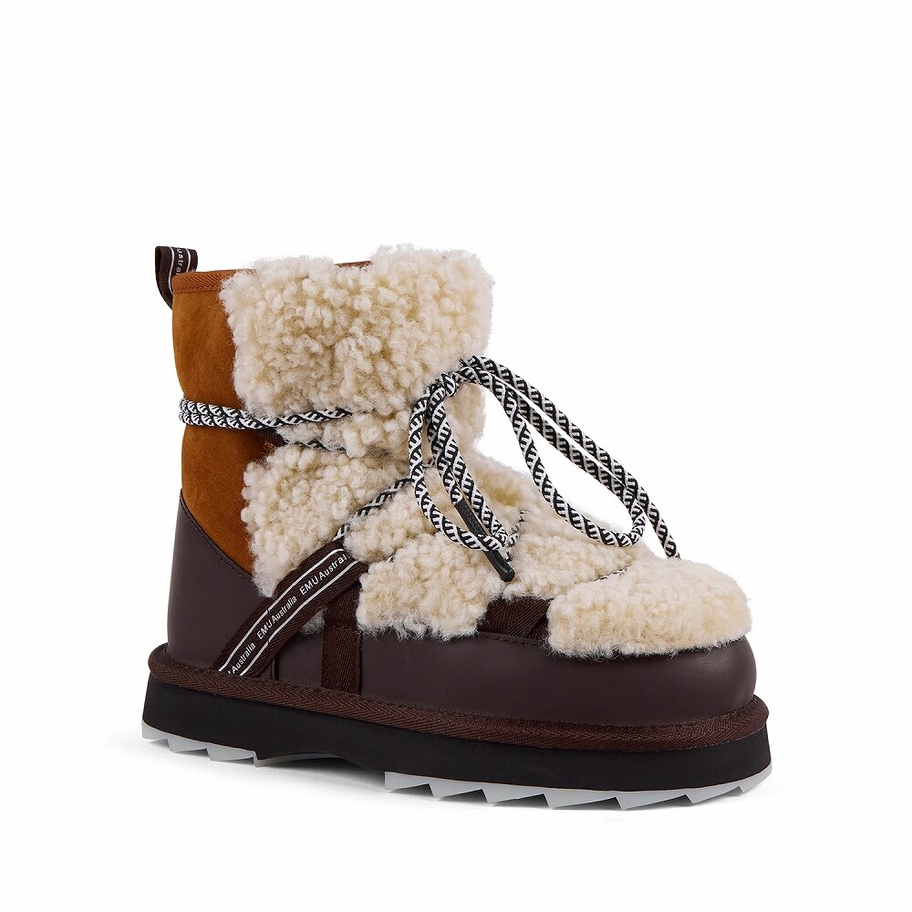 [}C]yEMUzG~ 25H~V Blurred Teddy/G~I[XgAiEMU Australiaj x[W