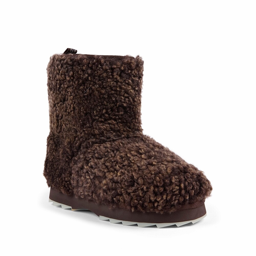 [}C]yEMUzG~ 25H~V Sharky Lo Teddy/G~I[XgAiEMU Australiaj `R