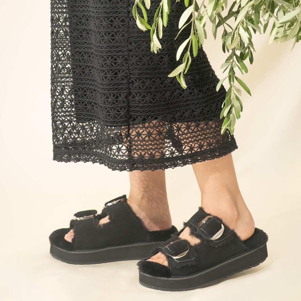 [}C]yEMUzG~ 25H~V Cabello/G~I[XgAiEMU Australiaj ubN