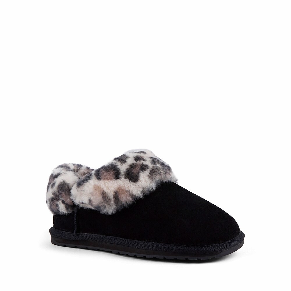 [}C]yEMUzG~ 25H~V Baia Bow/G~I[XgAiEMU Australiaj ubN