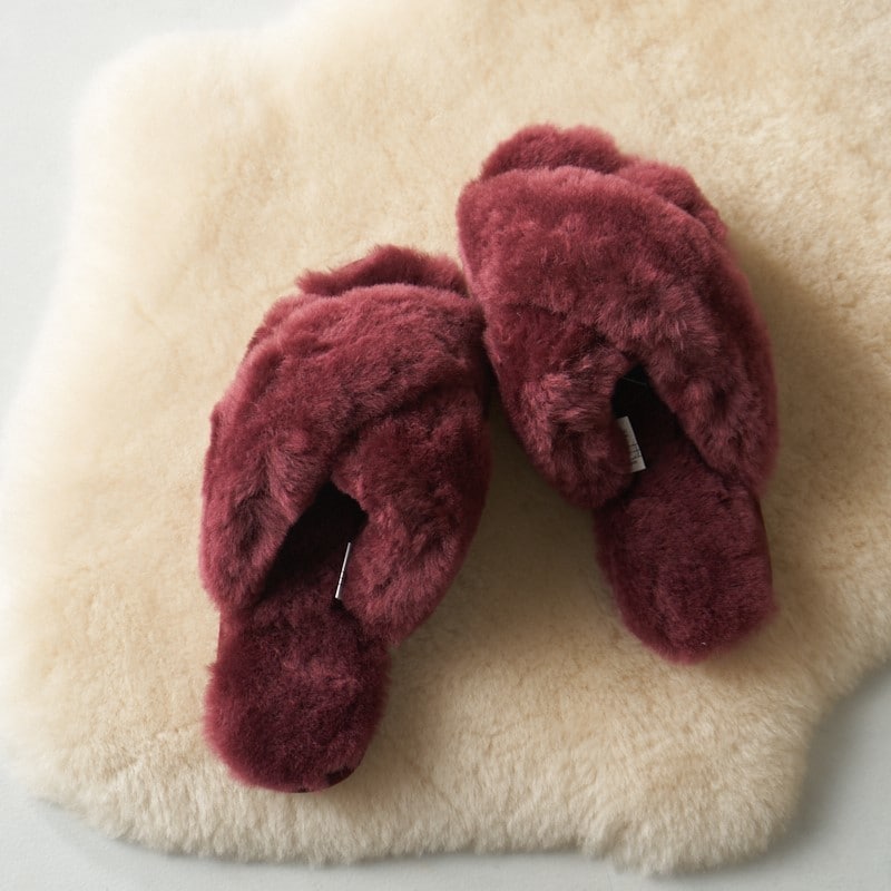 [}C]yEMUzG~/Mayberry At@[T_ Xbp/G~I[XgAiEMU Australiaj {h[