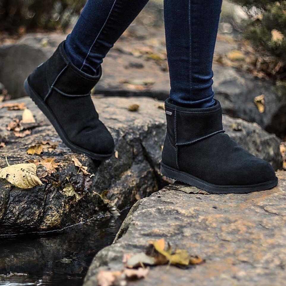 [}C]yEMUzG~/Paterson C Mini hu[c/G~I[XgAiEMU Australiaj ubN