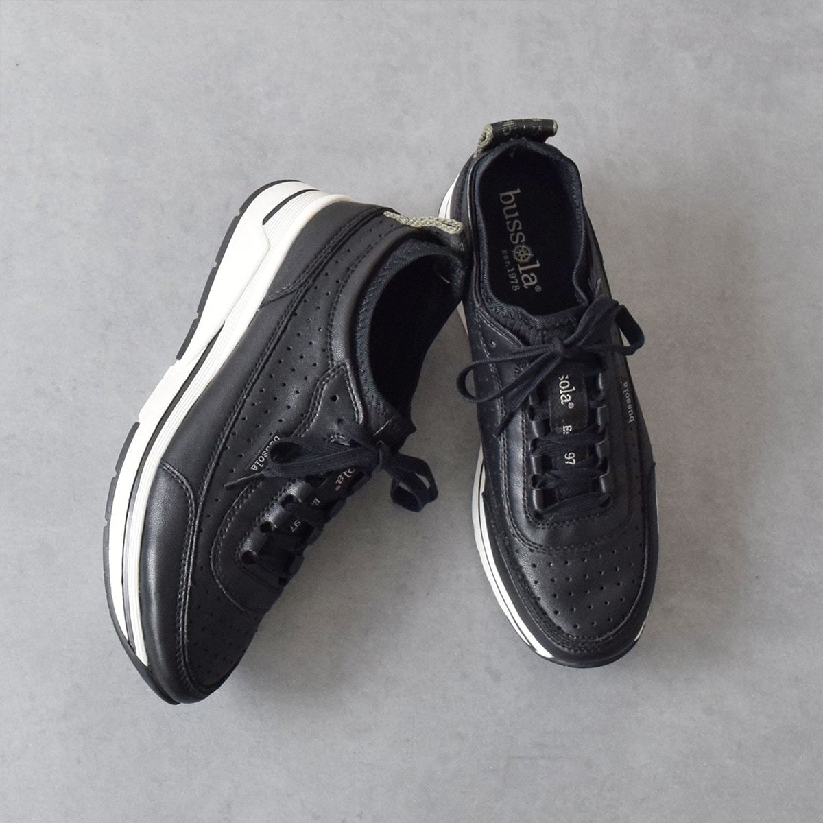 [}C]bussola u\4cmq[p`OU[Xj[J[/u\ibussolaj ubNRr