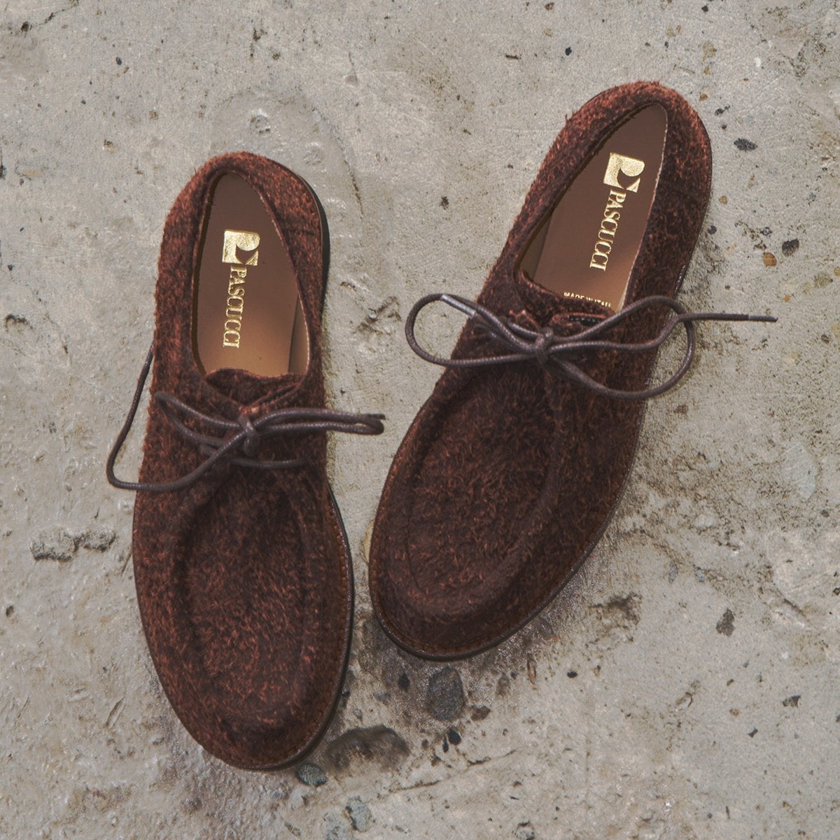 [�}���C]PASCUCCI��3.5cm�q�[�������E���h�g�E�`�����A���V���[�Y/�p�X�N�b�`�iPASCUCCI�j �_�[�N�u���E���X�G�[�h