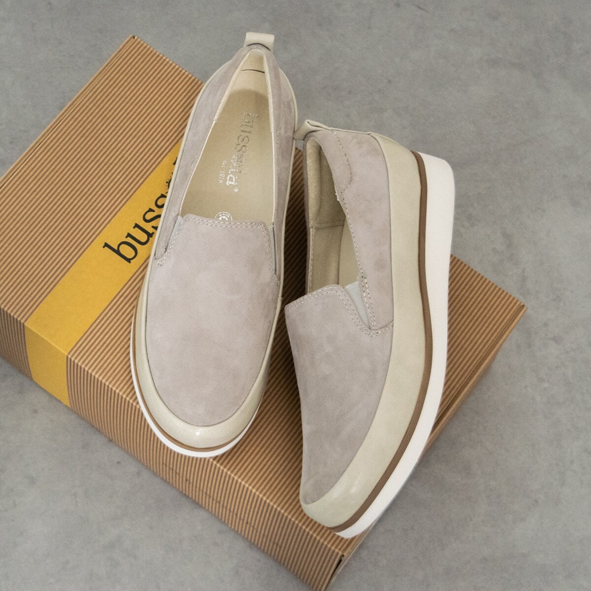 [}C]bussola2.5cmq[U[Xb|Xj[J[/u\ibussolaj CgO[XG[h