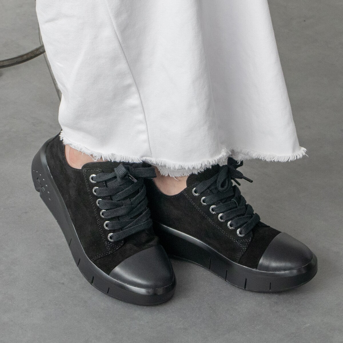 [}C]bussola5cmq[ꃌ[XAbvXj[J[/u\ibussolaj ubNXG[h