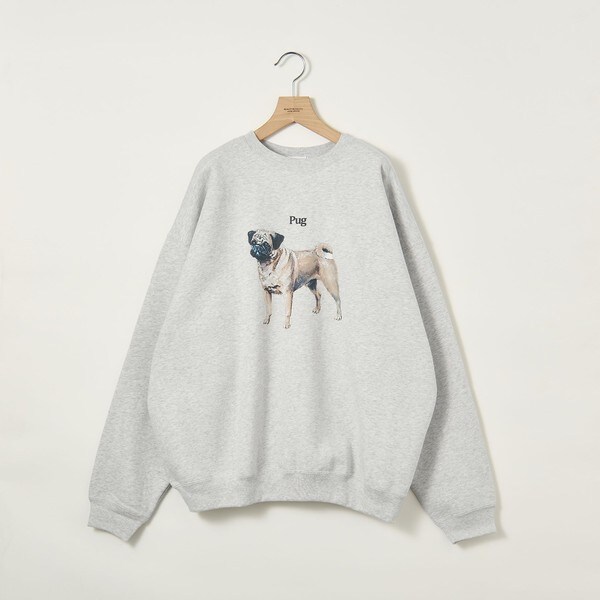 WEB店限定】＜info． BEAUTY＆YOUTH＞ ドッグ