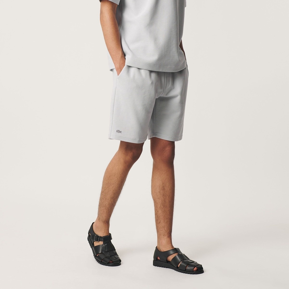 [�}���C]��LACOSTE for BEAUTY&YOUTH�������g�[�� �V���[�g�p���c/�r���[�e�B�[�����[�X ���i�C�e�b�h�A���[�Y�iBEAUTY&YOUTH�j LT.GRAY