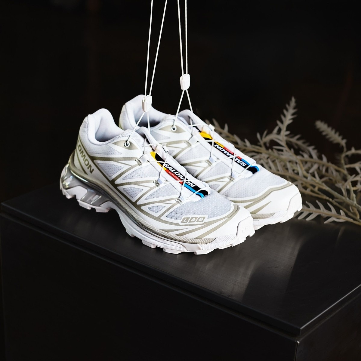 SHIPS別注】adidas: 50th ANNIV GAZELLE INDOOR | シップス(SHIPS