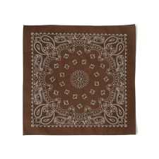 USA PAISLEY BANDANNAS:ペイズリー バンダナ