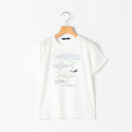 [^ԁF512312651]ND]ẴW[ɂ߂̋@\fނgpTVcANoIyfޓzڐG⊴Ƌz̋@\fނŁAĂłKȒSnłBɔGƁAT̑̂̐FςAT̖Ood|yꖇɎdグ܂yfUCztgvg̓T}ӂ1y[WC[WĂAԏ̃_Co[(l)ɁA傫ɏォWxCUAzzWUAAIUAVNUAmRMUׂ܂Bw̃vǵuFAN=DҁExҁvuFUN CLUB=yރNuvɂāA2̈Ӗ[ÂfUCł80A90cmTCŶ݌tBw̃vg͕ϐF܂BT̕񏇂͐ʂ␶nɂقȂA͈̍̔͂傫ׁApɂ񏇁E햼ςꍇ|ByX^CO/V[zVт⃌W[ȂǁAĂɊ􂷂邱ƊԈႢȂ{gXI΂AR[fBl[gɎ₷\TVcłIyΏۃJeS[Fxr[/BABYzyӎzipׂɁAAeV^OEl[KmF̏Ap͂舵BBeɂ̓p\REX}[gtHȂǂ̉{ɂāAۂ̐FƈقȂČꍇ܂B@i̐F͏iP̂ŎBe摜QƂB摜̏i̓TvłBۂ̏iƎdlAHATCY኱قȂꍇ܂B