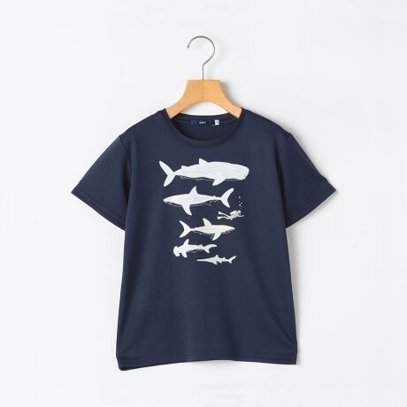 [^ԁF512312651]ND]ẴW[ɂ߂̋@\fނgpTVcANoIyfޓzڐG⊴Ƌz̋@\fނŁAĂłKȒSnłBɔGƁAT̑̂̐FςAT̖Ood|yꖇɎdグ܂yfUCztgvg̓T}ӂ1y[WC[WĂAԏ̃_Co[(l)ɁA傫ɏォWxCUAzzWUAAIUAVNUAmRMUׂ܂Bw̃vǵuFAN=DҁExҁvuFUN CLUB=yރNuvɂāA2̈Ӗ[ÂfUCł80A90cmTCŶ݌tBw̃vg͕ϐF܂BT̕񏇂͐ʂ␶nɂقȂA͈̍̔͂傫ׁApɂ񏇁E햼ςꍇ|ByX^CO/V[zVт⃌W[ȂǁAĂɊ􂷂邱ƊԈႢȂ{gXI΂AR[fBl[gɎ₷\TVcłIyΏۃJeS[Fxr[/BABYzyӎzipׂɁAAeV^OEl[KmF̏Ap͂舵BBeɂ̓p\REX}[gtHȂǂ̉{ɂāAۂ̐FƈقȂČꍇ܂B@i̐F͏iP̂ŎBe摜QƂB摜̏i̓TvłBۂ̏iƎdlAHATCY኱قȂꍇ܂B