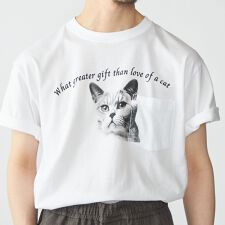 【WEB限定/SHIPS別注】Regency Works: キャット ポケット Tシャツ