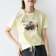 【SHIPS別注】ACASAM: フォト TEE