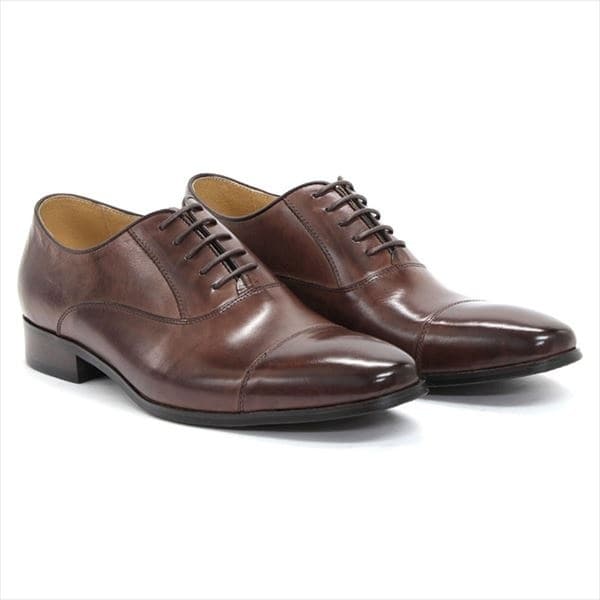 [�}���C]�Ԃ肪�ǂ��{���l�[�[���@�r�W�l�X�V���[�Y ( �X�g���[�g�`�b�v�^�C�v �j/�T���o���h�iSARABANDE�j �_�[�N�u���E��