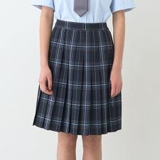 【卒服】【家庭洗濯可】24本チェックプリーツスカート
