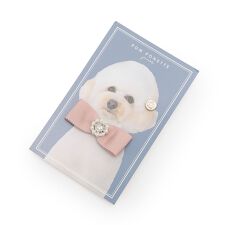 ポンポネットジュニア(pom ponette junior)のビジューリボンブローチ