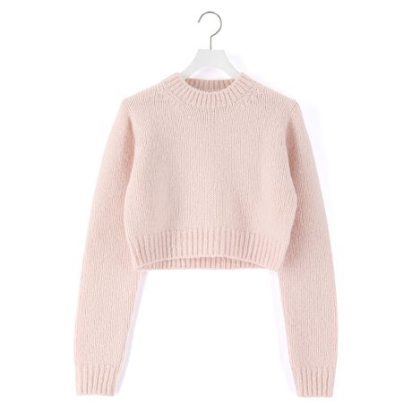AURALEE】WOOL BABY CAMEL BRUSHED YARN KNIT SHORT P O 