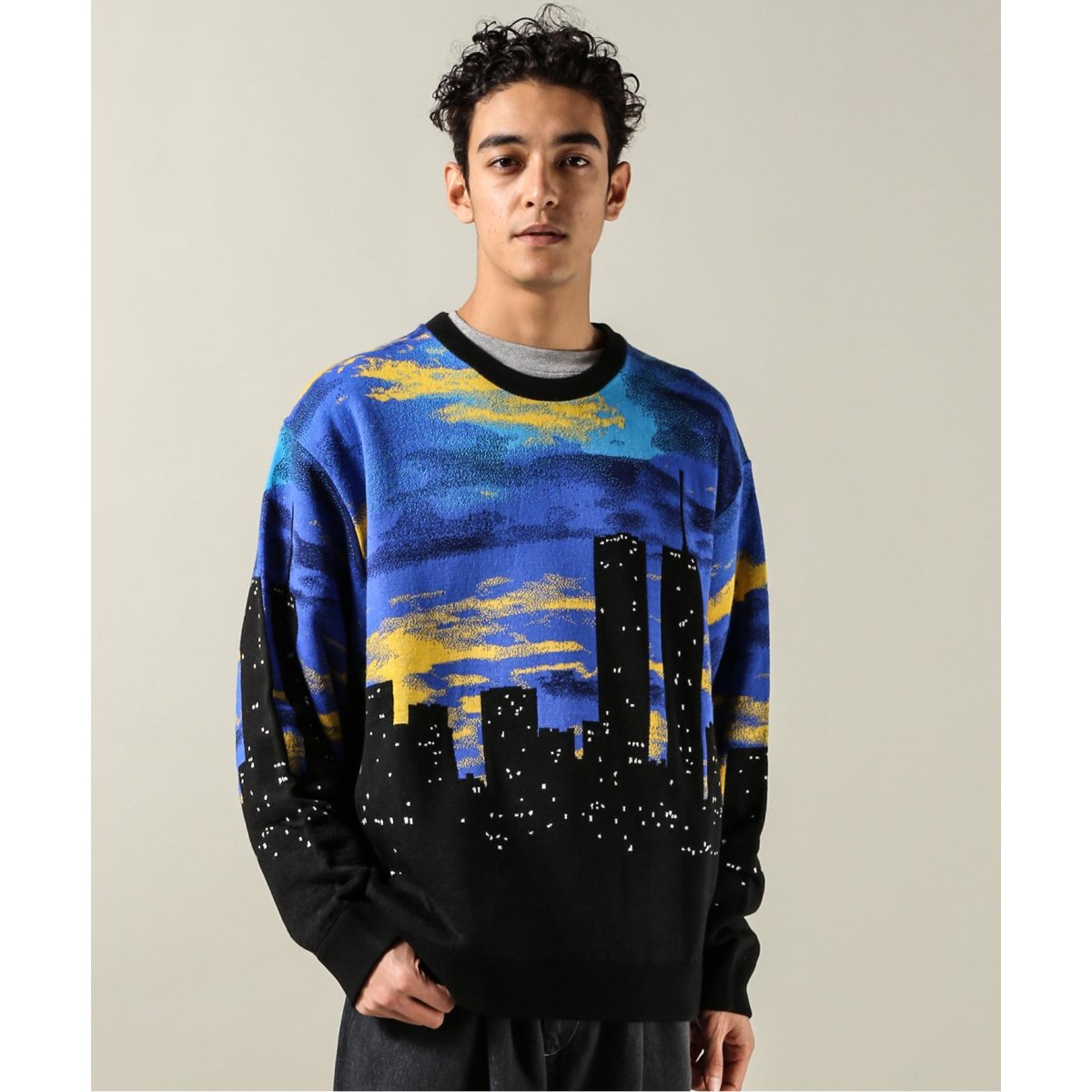 BUSCEMI/ブシェミ】SKYLINE KNIT CREWNECK | ジャーナルスタンダード