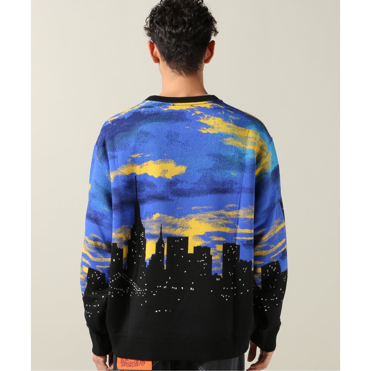 BUSCEMI/ブシェミ】SKYLINE KNIT CREWNECK | ジャーナルスタンダード