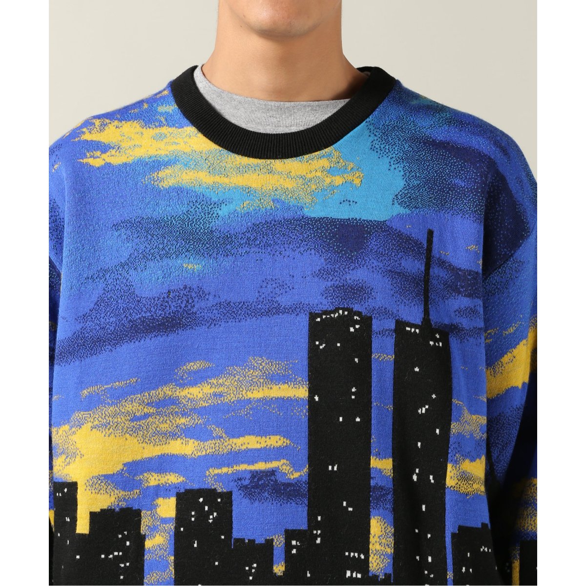 BUSCEMI/ブシェミ】SKYLINE KNIT CREWNECK | ジャーナルスタンダード