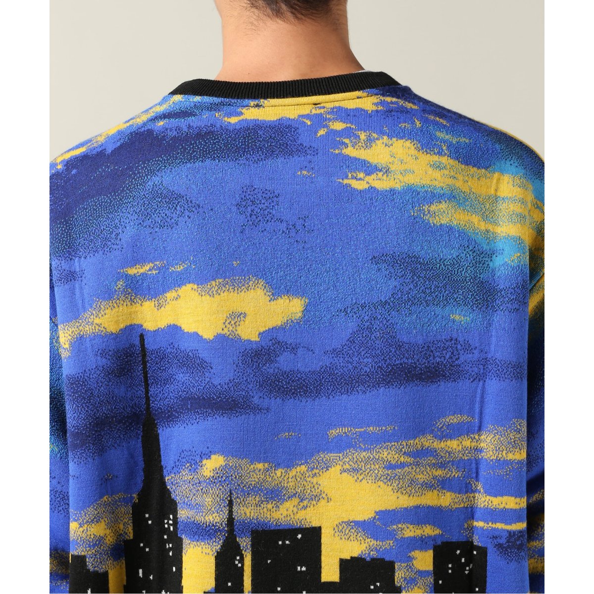 BUSCEMI/ブシェミ】SKYLINE KNIT CREWNECK | ジャーナルスタンダード