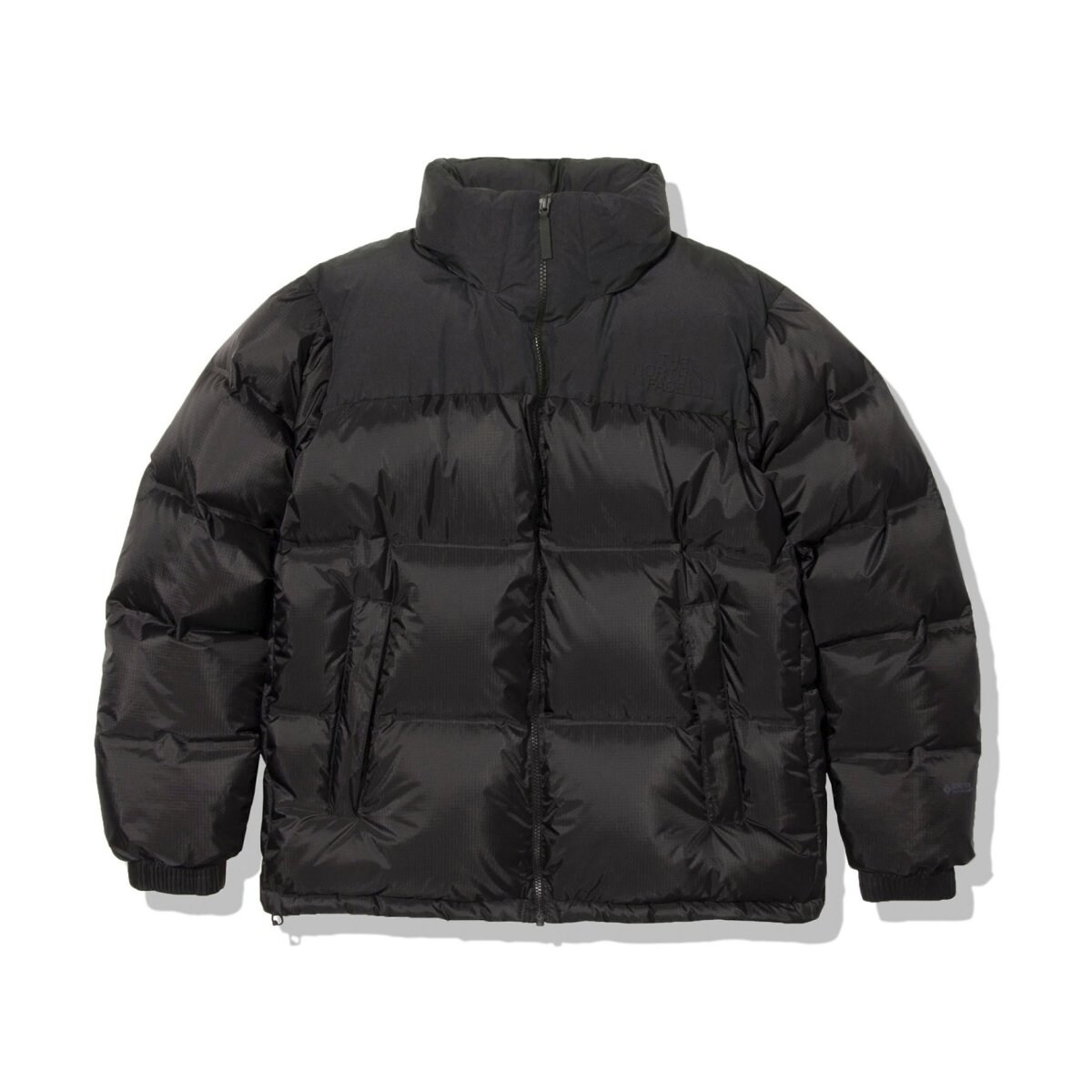 WEB限定【THE NORTH FACE / ノースフェイス】GTXヌプシジャケット