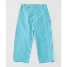 ts(s) Garment Dye Canvas Painter Pt