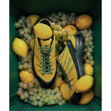 《予約》SALOMON / サロモン exclusive X-ALP WOVEN