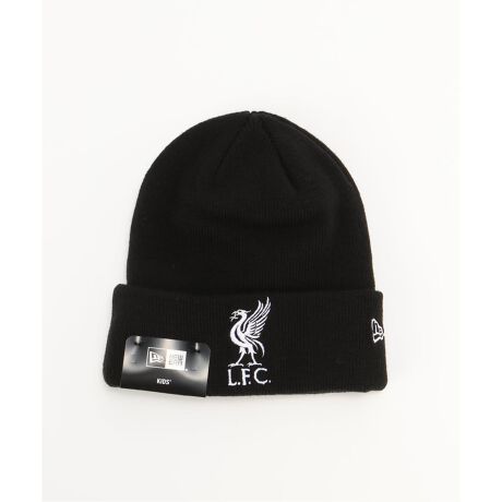 [^:25095362000430]x[VbN Jtjbg Liverpool FC @v[FCyLiverpool FCzLiverpool FC1892NɃov[̊Xőn݂ꂽAEIɗjƓ`̂tbg{[NüłB60ȏ̎v^CglAO[oɔMIȃt@hLFCh́AߔNtbg{[̘g𒴂ABEčEAWA𒆐SɃt@bV̕ł݊߂Ă܂B