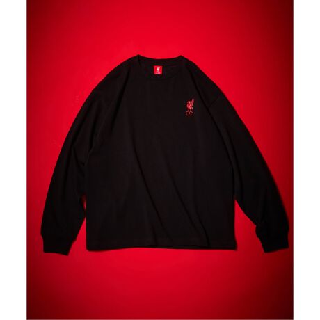 [^:25070361100330]VACeגBȂIyLiverpool FCzLiverpool FC1892NɃov[̊Xőn݂ꂽAEIɗjƓ`̂tbg{[NüłB60ȏ̎v^CglAO[oɔMIȃt@hLFCh́AߔNtbg{[̘g𒴂ABEčEAWA𒆐SɃt@bV̕ł݊߂Ă܂B