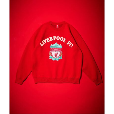 [^:25080361100030]VACeגBȂIyLiverpool FCzLiverpool FC1892NɃov[̊Xőn݂ꂽAEIɗjƓ`̂tbg{[NüłB60ȏ̎v^CglAO[oɔMIȃt@hLFCh́AߔNtbg{[̘g𒴂ABEčEAWA𒆐SɃt@bV̕ł݊߂Ă܂B