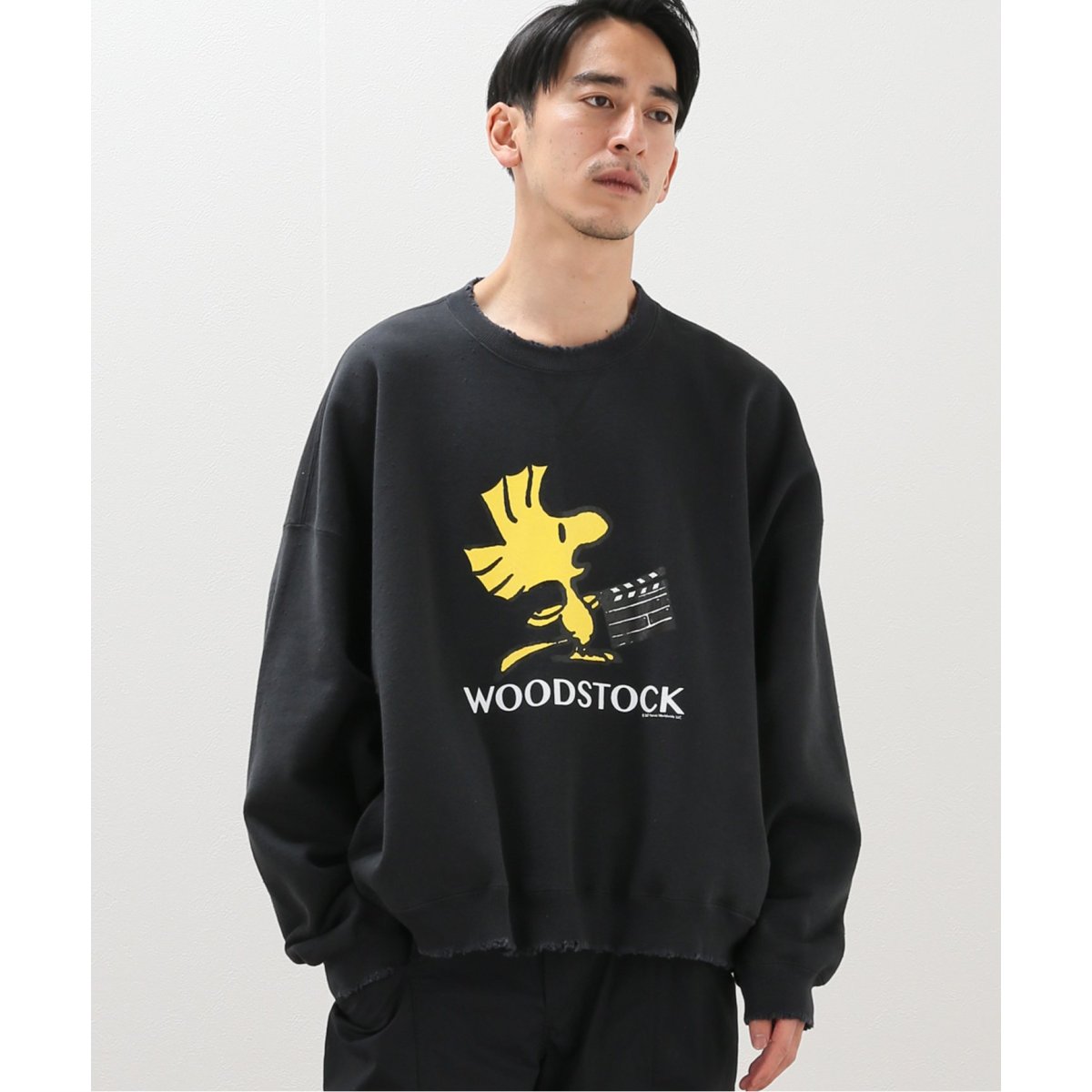 DAIRIKU / ダイリク】 WOODSTOCK WATER REPELLENT P/O | 417 エディフィス(417 EDIFICE) |  マルイウェブチャネル