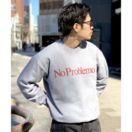 ARIES / アリーズ】 NO PROBLEMO SWEATSHIRTS | 417 エディフィス(417 
