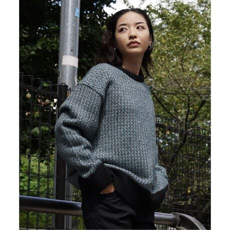 FACETASM / ファセッタズム】JACQUARD KNIT | 417 エディフィス(417 