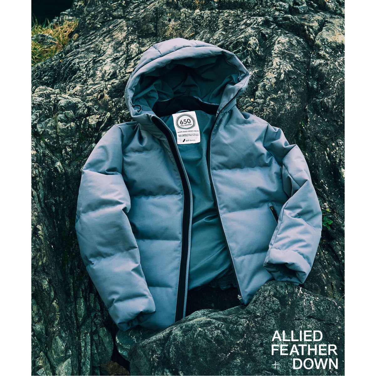 ALLIED FEATHER+DOWN / アライド ダウンブルゾン | 417 エディフィス