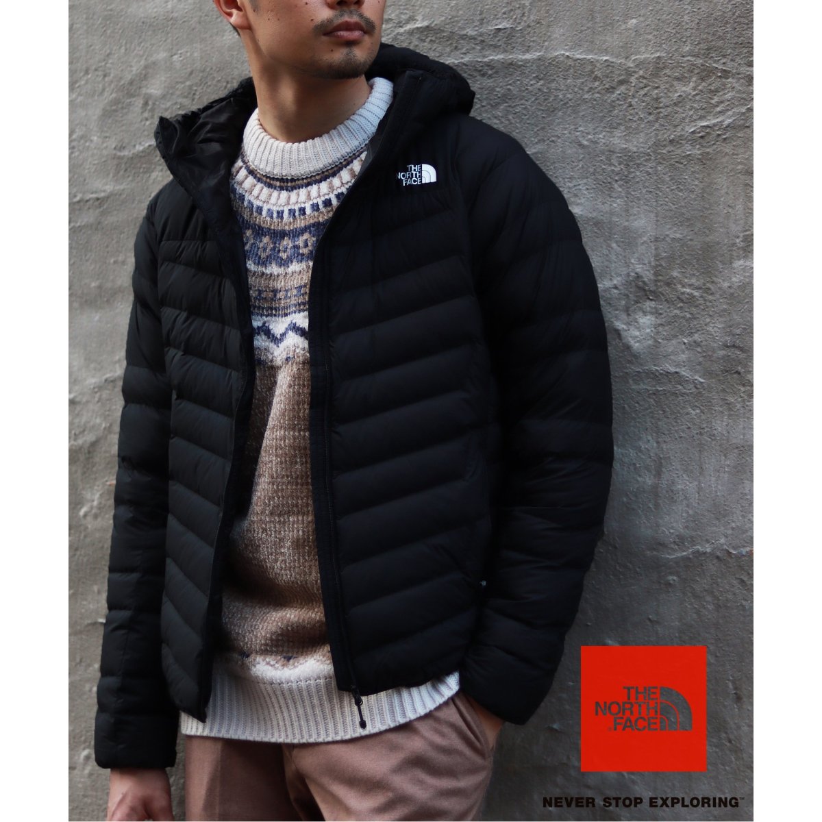 THE NORTH FACE / ザ ノースフェイス】 THUNDER HOODIE /サンダー