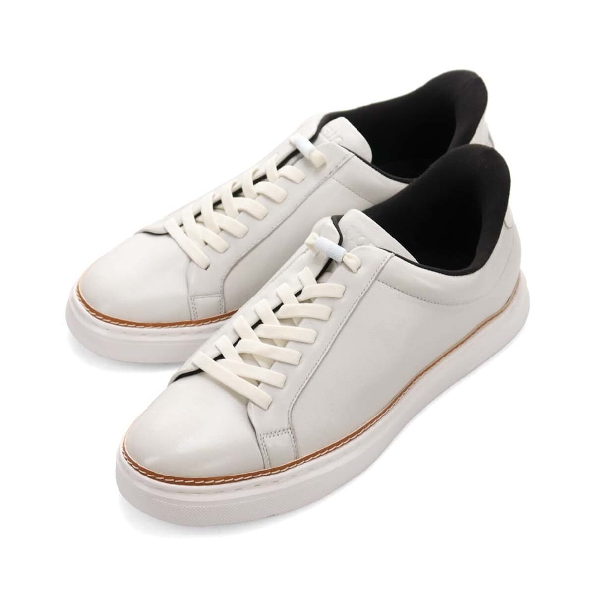 [}C]f MODELLO NCbNtBbg JWAU[Xj[J[ DM3450/}hX fimadras MODELLOj zCg