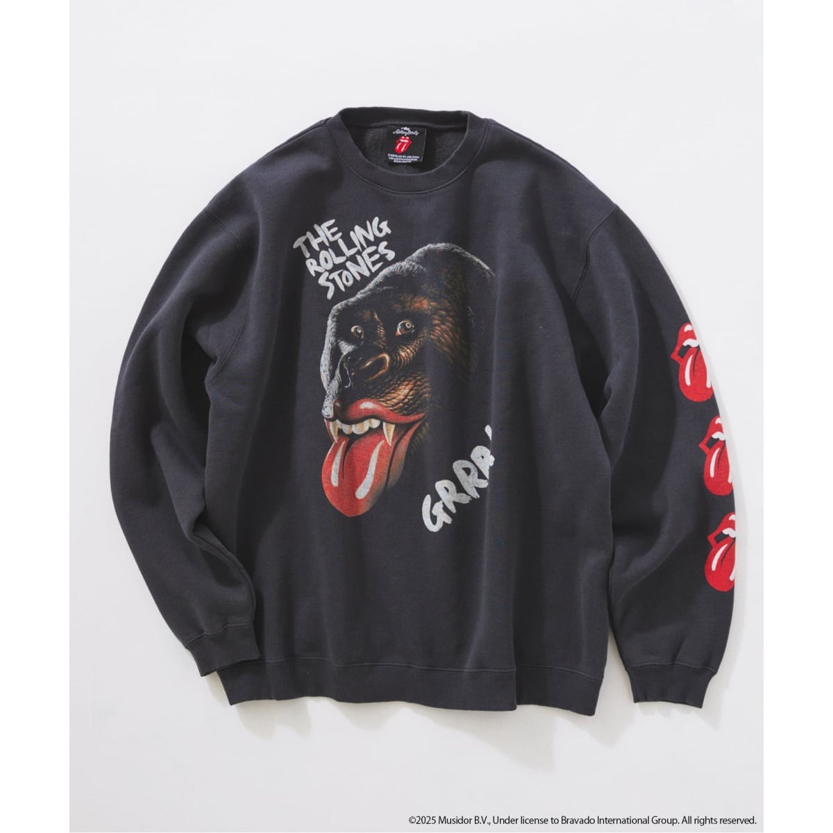 予約》CHAMPION / チャンピオン 別注 R/W 刺繍スプラッシュ