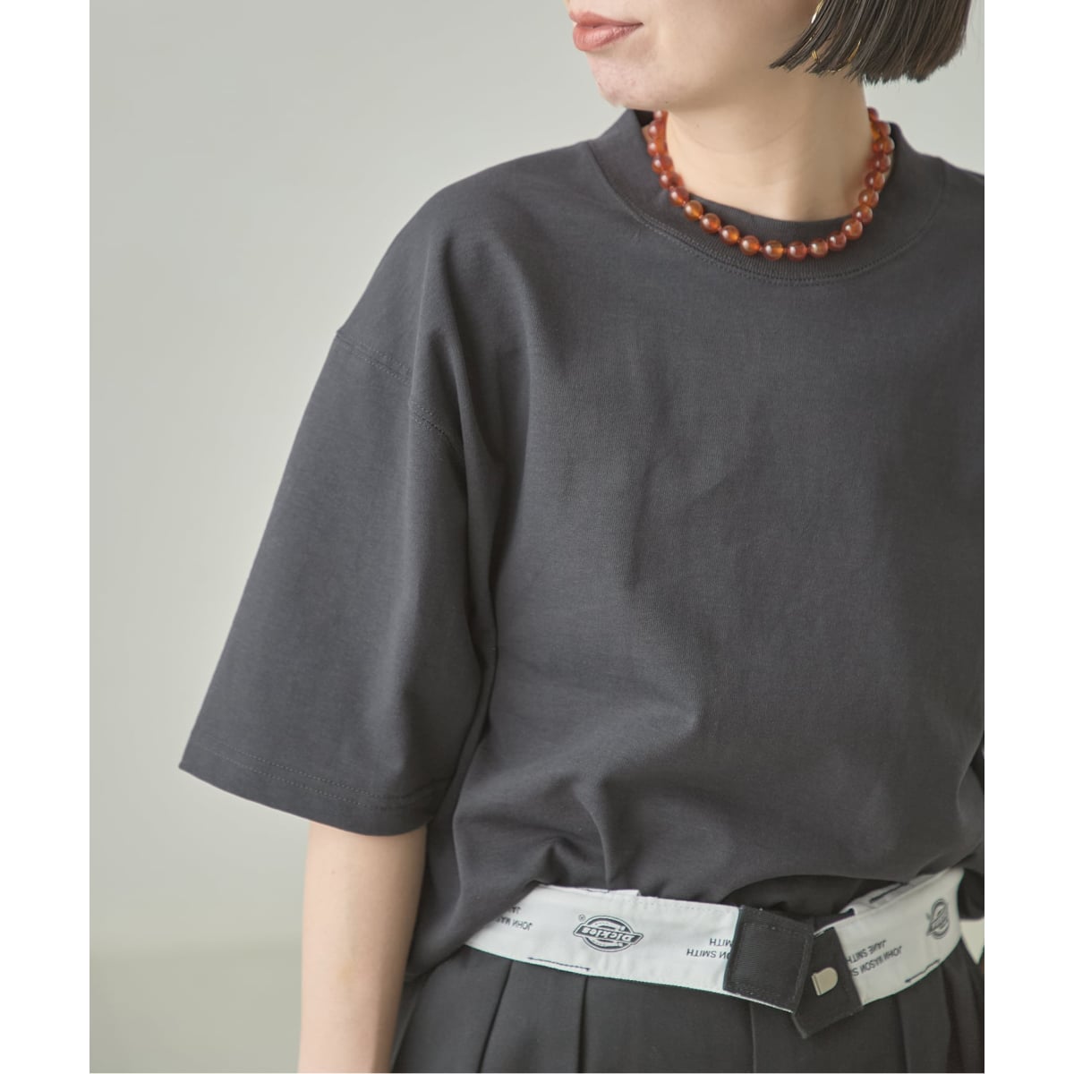 [�}���C]�s�ǉ��\��t�yJANE SMITH/�W�F�[���X�~�X�z�ʒ� BIG T�V���c/�W���[�i���X�^���_�[�h ���T�[�W���ijournal standard L'essage�j �O���[