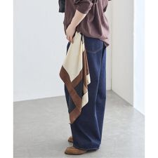 AENEIS/エネス Lohse Silk Scarf 70 スカーフ
