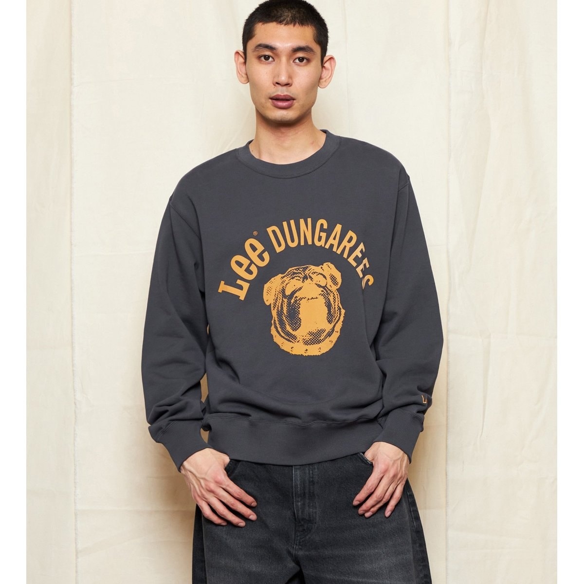 リー] トップス HALF-ZIP SWEAT (月桂樹) メンズ（Lee|リーの