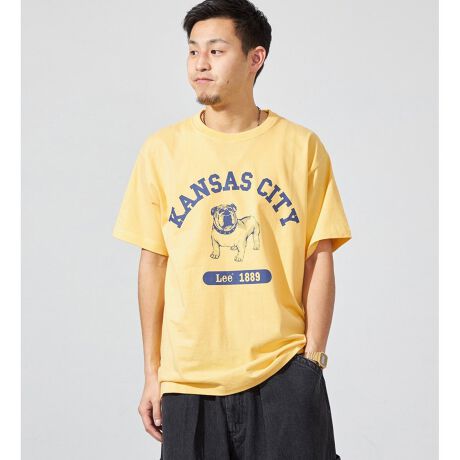 [^ԁFGLT228-0001]lC̃uhbOvgTVc͂̏tă}XgȃACeBqłlCŃNR[fIXXłB