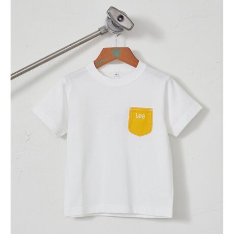 [^ԁFGLK006-0001]ɔzuꂽJ[̃|PbgLeeȂł́IJWAȒɂPłBVvTVc炱lƔȂACeȂ̂|CgB