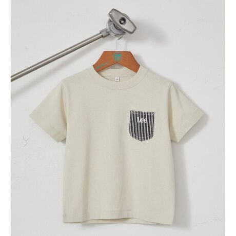 [^ԁFGLK005-0001]ɔzuꂽfjqbR[̃|PbgLeeȂł́IJWAȒɂPłBVvTVc炱lƔȂACeȂ̂|CgB