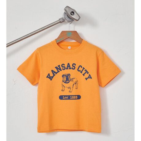 [^ԁFGLK028-0001]lC̃uhbOvgTVc͂̏tă}XgȃACeBlłlCŃNR[fIXXłB