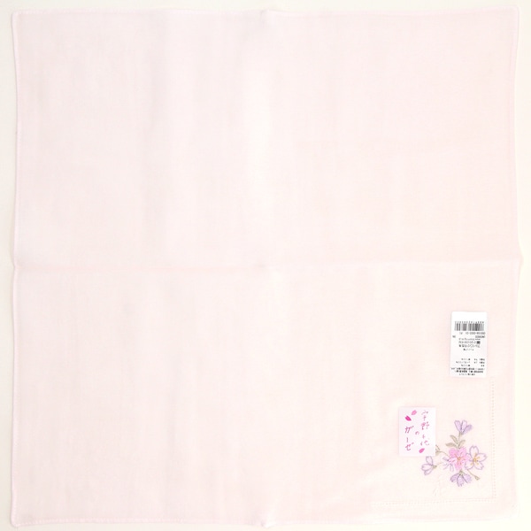 [}C]F K[[nJ` hJyFz/u[~OiBLOOMINGj sN